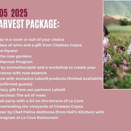 Chateau Copsa Complex Moskovets 외부 사진